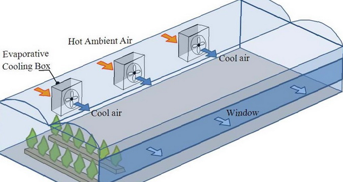 Варианты вентиляции воздуха в теплице